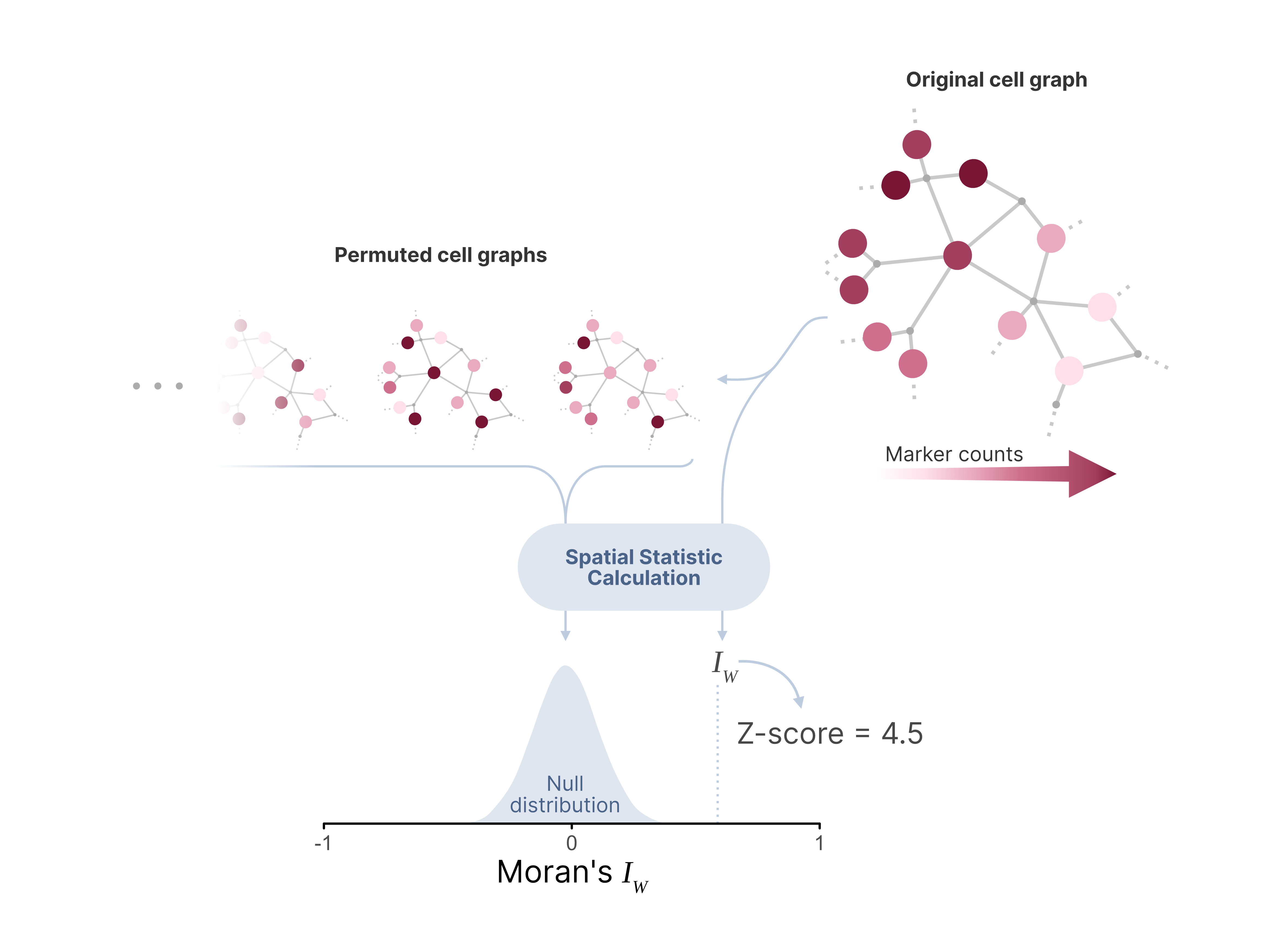 Permutation Explained