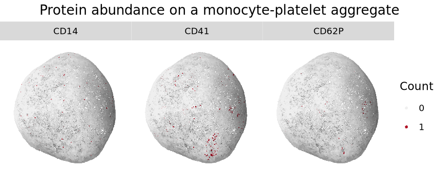 Rotating panels of CD14, CD41, and CD62P abundance on a monocyte-platelet aggregate. CD14 is spread across the surface, and CD41 and CD62P occupy the same region.