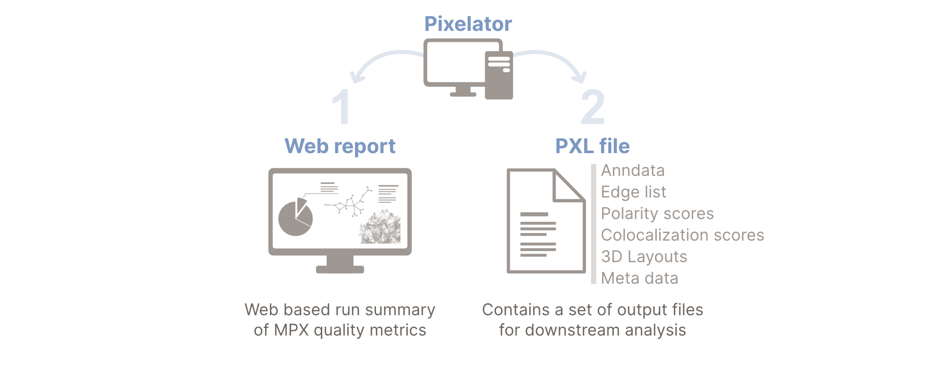 Pixelator main outputs